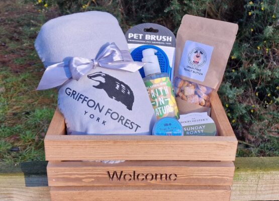 Dog Pamper Hamper